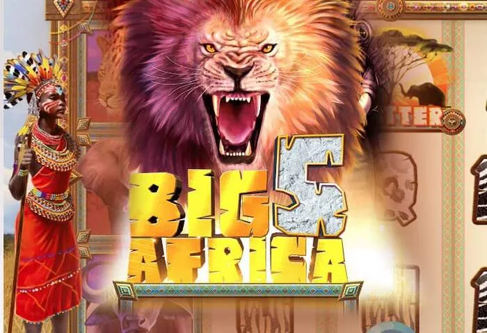 Asistencia sobre Dónde Ingresar Su Código de Bono Gransino Durante el Registro.