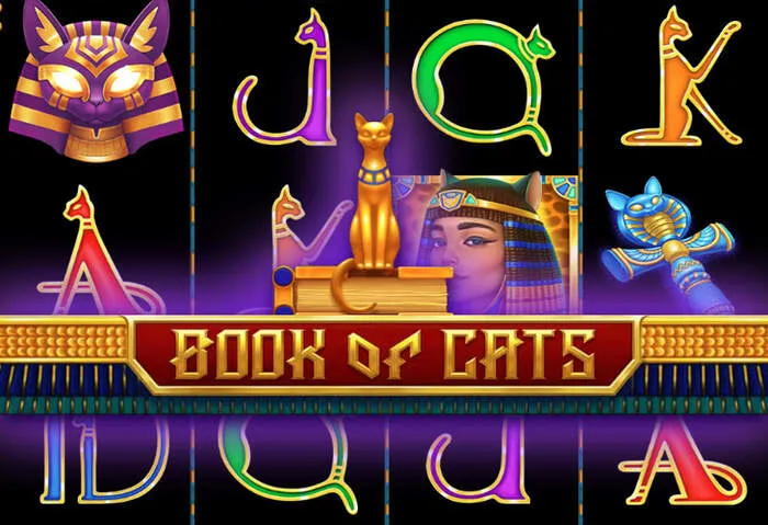 Conditions Bonus Gransino Casino transparentes